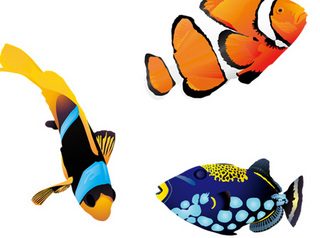 5fishes-600.jpg