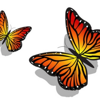 PairofButterflies017.jpg